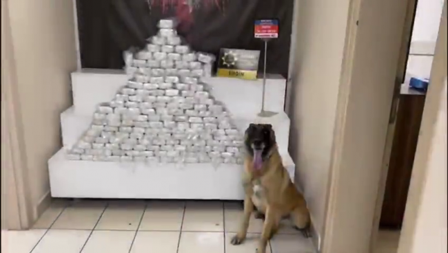 Yolcu otobüsünün döşemesinin altından 98 kilo uyuşturucu çıktı